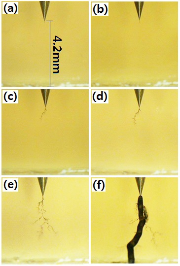 Electrical treeing morphology of the DGEBA/PG system, tested
in a constant electric field of 10 kV/4.2 mm (60 Hz) at 30℃, for (a) 180
min, (b) 300 min, (c) 1,050 min, (d) 1,650 min, (e) 3,650 min, and (f )
3,996 min.