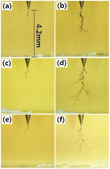Electrical treeing morphology of the various epoxy systems,
tested in the constant electric field of 10 kV/4.2 mm (60 Hz) at 30℃,
for (a) 420 min, and (b) 3,550 min, in the DGEBA system, (c) 115 min,
and (d) 3,650 min, in the DGEBA/BDGE system, and (e) 1,050 min,
and (f) 3,650 min, in the DGEBA/PG system.