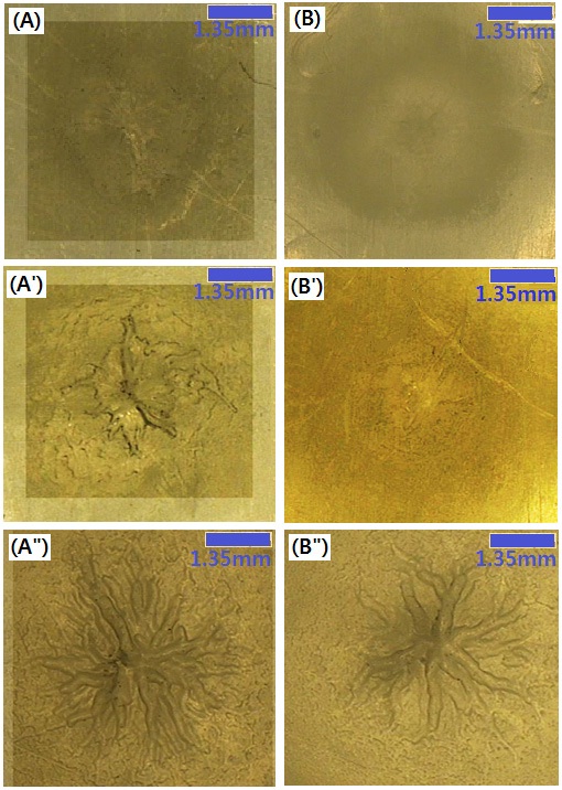 Microscopic images of the eroded surface of the specimens: (A)
DGEBA, (B) DGEBA/PG, after applying ac 5 kV with (’) 60 Hz, (’’) 500
Hz and (’’’) 1,000 Hz, for 96 hr (4 days).