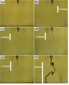Morphology of electrical treeing (a)~(f ) for the epoxy/highchlorine
BDGE system tested in the constant electric field of 10
kV/4.2 mm at 60 Hz at 130℃ for 0, 60, 240, 480, 720, and 845 min,
respectively.