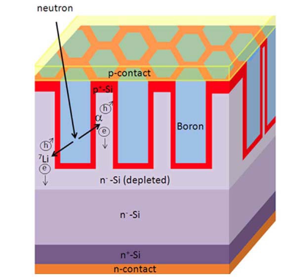 Schematic of the Self-powered Micro-structured Solid
State Detector with Deep Hexagonal Holes Filled with Boron.