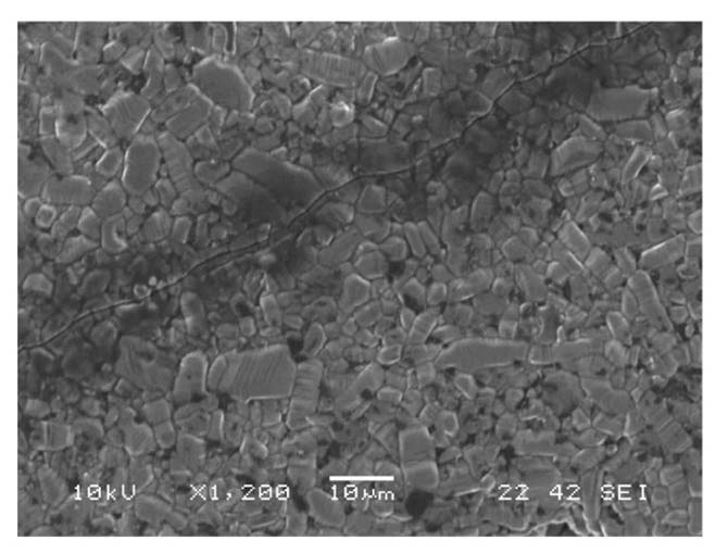 SEM Image of Transgranular Crack Propagation of a
Quenched SiC Specimen (T=500℃)