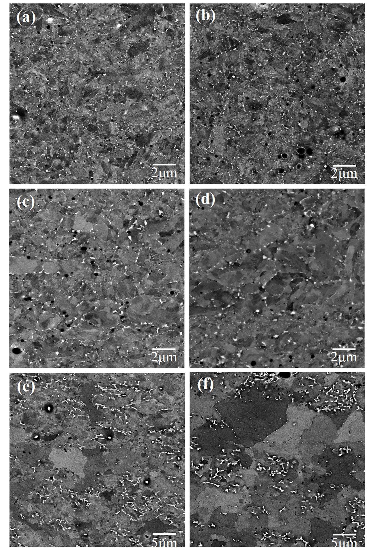 SEM Micrographs on Grain Morphology of Dual Phase
ODS Steels in Different Heat Treatment Processes; (a, b) NT,
(c, d) HR-T, and (e, f) FC Heat Treatment for 10Cr and 12Cr
ODS Steels, Respectively.