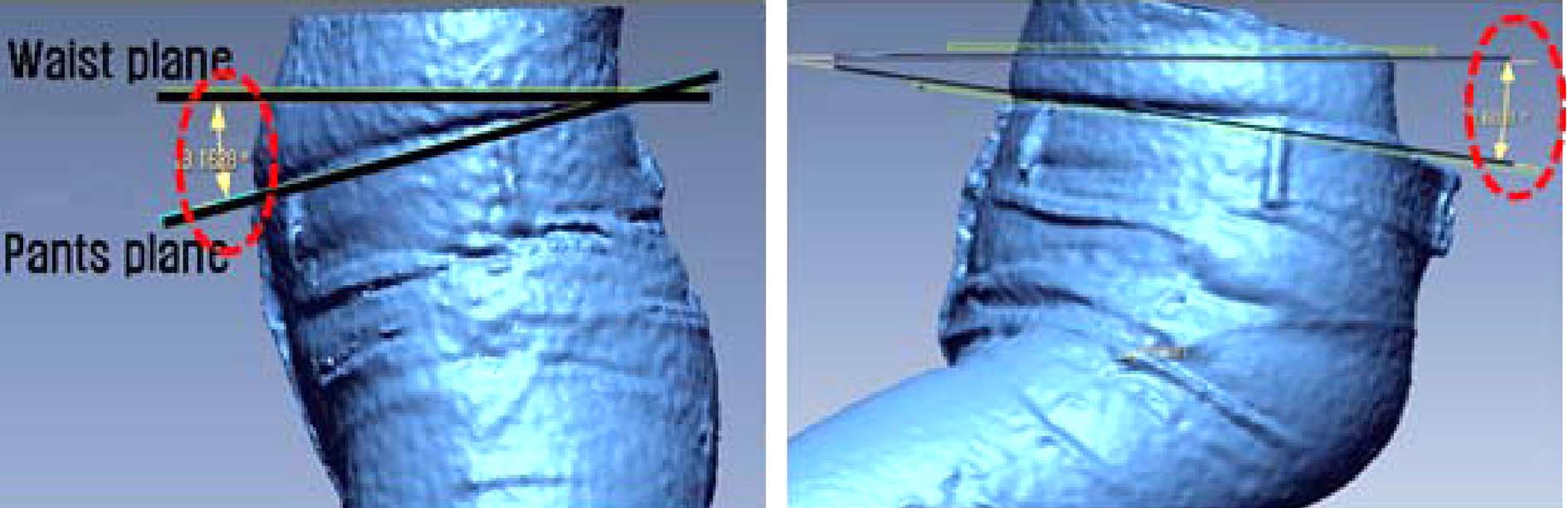 The angle of pants waist line by posture.