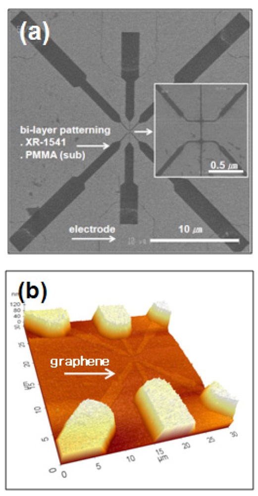 Scanning electron microscopy image with graphene nanoribbon: (a) e beam lithography with bi-layer resists on the graphenefilms (Insert is sub 50 nm of graphene nanoribbon), and (b) atomicforce microscopy image after formation of metal electrodes and liftoffprocess.