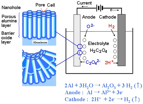 Schematic diagram of an aluminum anodization process usingthe electrolyte of oxalic acid and porous anodic films on aluminum,which depends on the initial state of the surface.