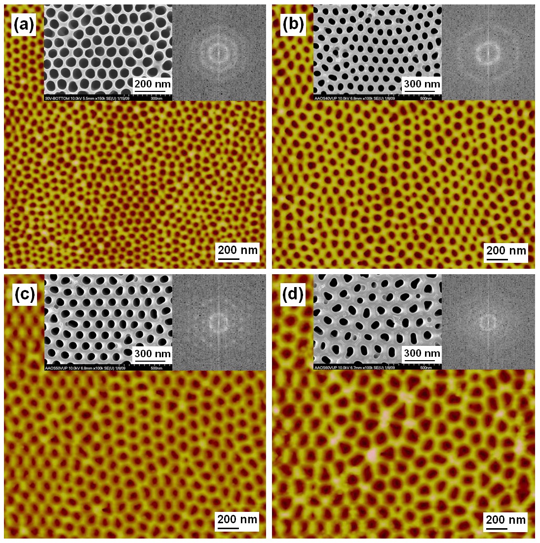 AFM and SEM images for various bias voltages of 30, 40, 50,and 60 V. The insets are the patterns from the fast Fourier transformanalysis.
