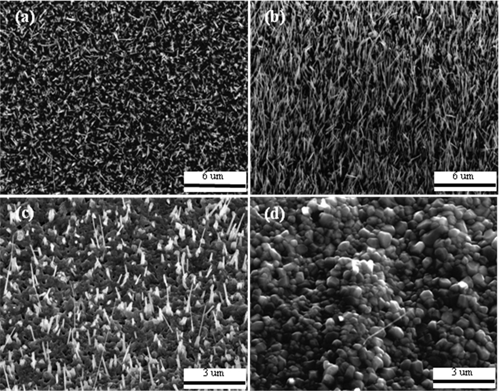 30°-tilted view SEM images of Cu films annealed in static airfor four h at (a) 400℃, (b) 500℃, (c) 600℃, and (d) 700℃.