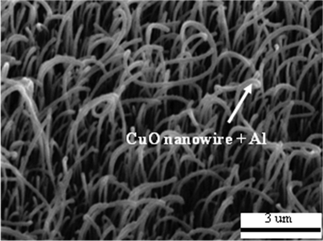 30°-tilted view SEM images of CuO nanowires coated with depositednano-Al.