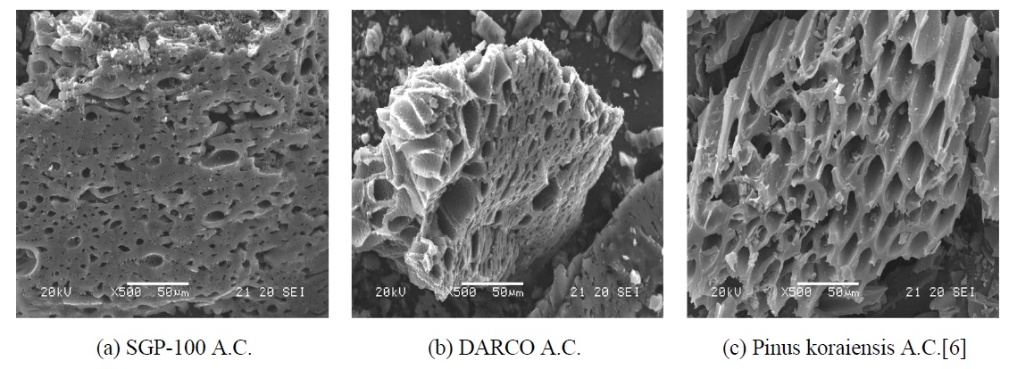 SEM images of activated carbons.