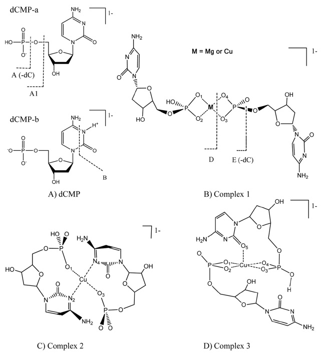 Structures of [dCMP]1？ and [Cu·dCMP·dCMP-H]1？ complexes.