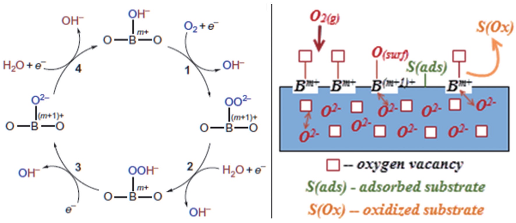 Mechanism of oxidation-reduction reactions on perovskite oxides: a) aqueous solution and b) gas phase.