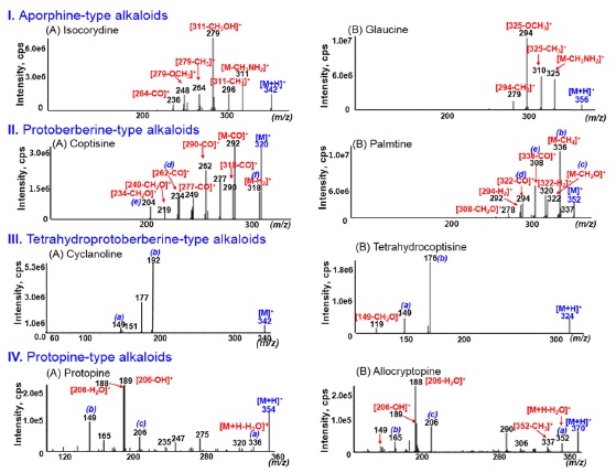 MS/MS mass spectra of (I) aporpine-, (II) protoberberine-, (III) tetrahydroprotoberberine-, and (IV) protopine-type alkaloids.