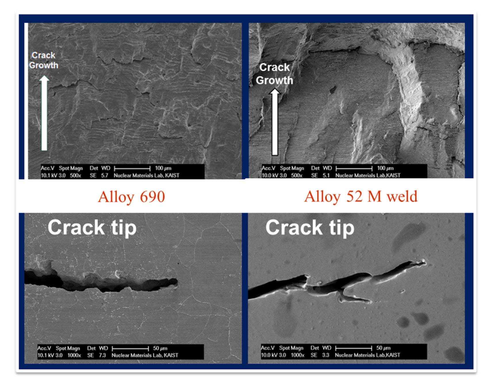 Fatigue Fractured Surface and Crack tips of Alloy 690 and 52M in a Simulated PWR Environment