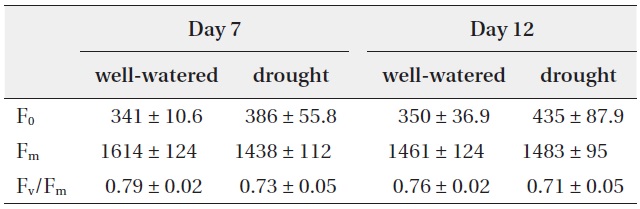 Change in chlorophyll fluorescence parameters (F0, Fm and Fv/Fm) with well-watered and drought treatments