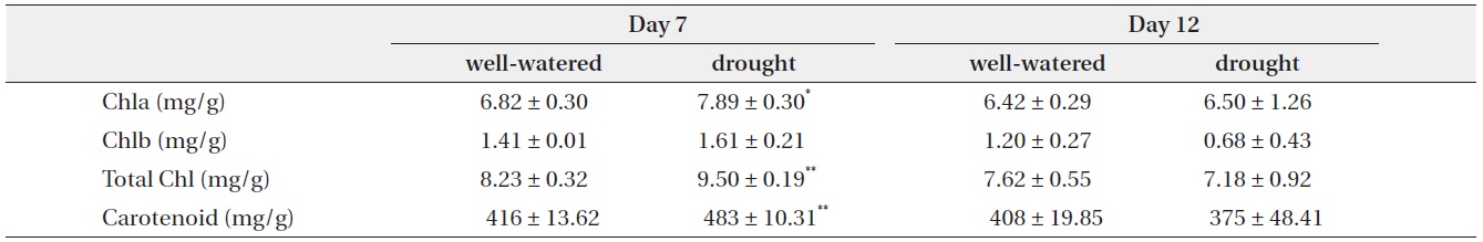 Change in chlorophyll and carotenoid contents with well-watered and drought treatments