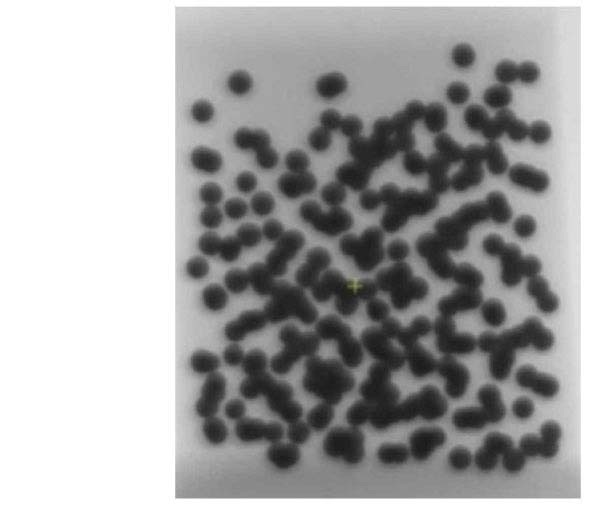 X-ray Image of a Fuel Compact. Coated Particle Fuels and Non-fueled Regions are Clearly Visible in the X-ray Radiography.