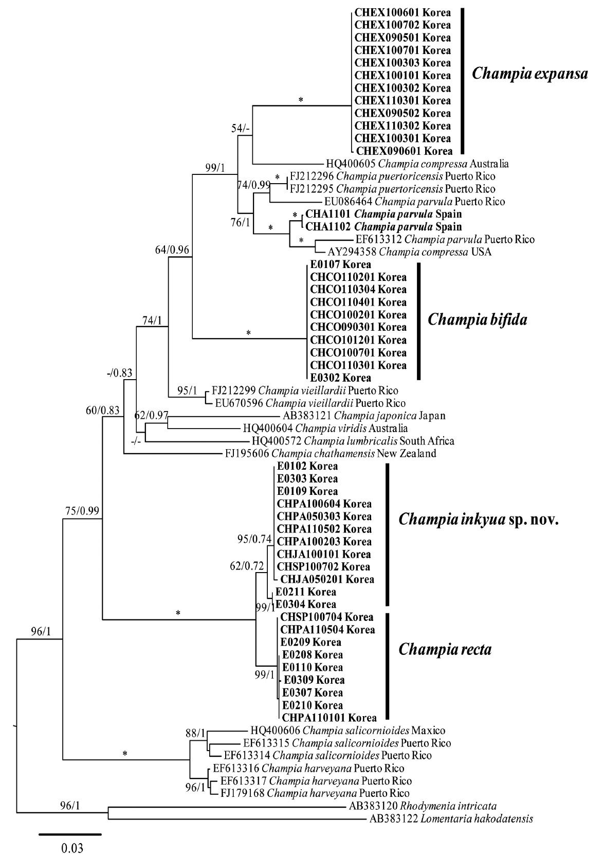 Phylogenetic tree of the genus Champia species (bold is collected in this study and normal is acquired from GenBank) based on rbcL sequences
inferred from maximum-likelihood analysis. Bootstrap value are shown above the branches: maximum-likelihood (left) and Bayesian posterior probabilities
(right). Branches marked with an asterisk received 100% support in both analyses, whereas those lacking values received less than 50% support. Scale bar:
substitutions/site.