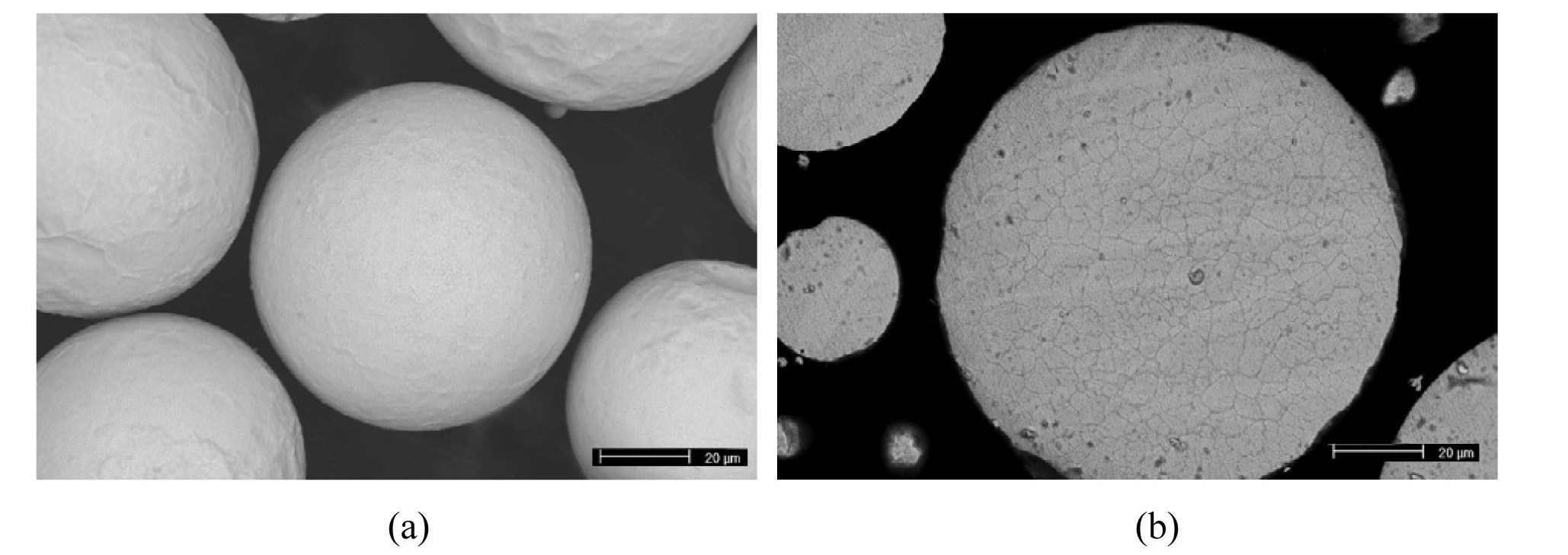 Scanning Electron Micrographs Showing (a) the Spherical Shape Morphology and (b) a Cross-section Micrograph of Atomized U-1wt%Al Particles.