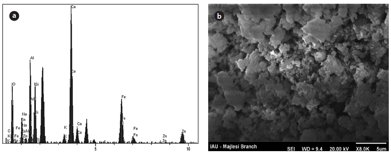 Typical (a) energy dispersive X-ray spectroscopy patterns and (b) scanning electron microscope image of activated red mud.