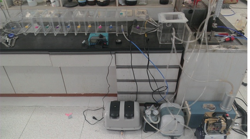 Experimental dust collection system.