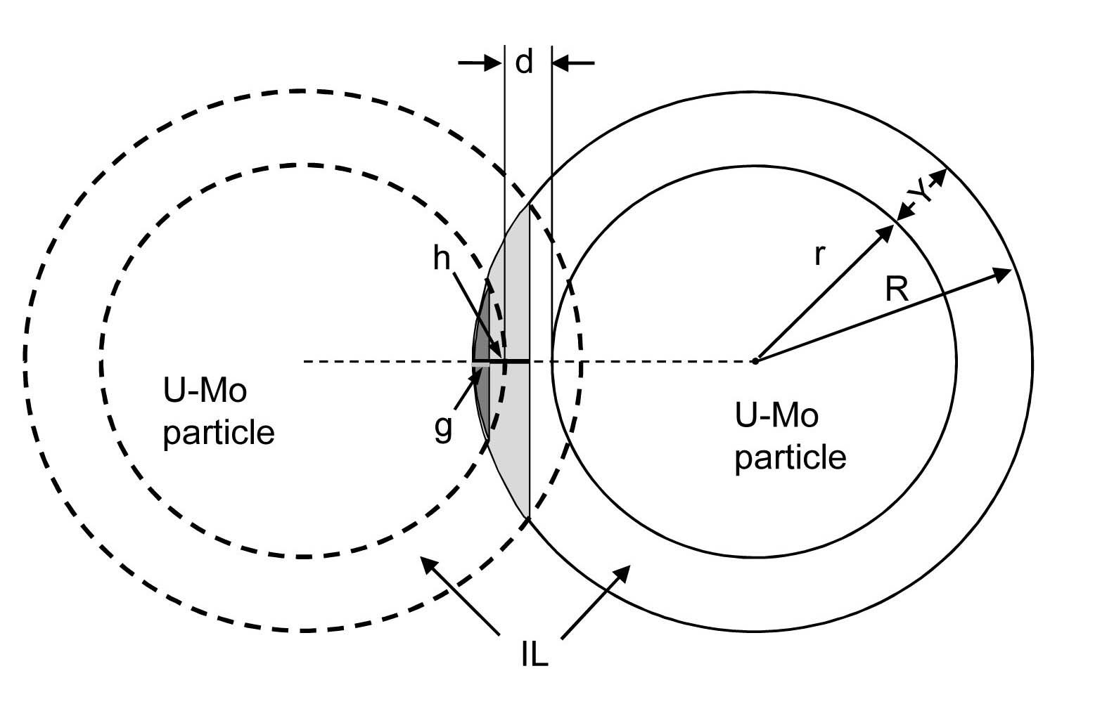 Schematic Showing Configuration of Two Neighboring
Particles with IL Formed on the Surfaces and IL Overlapping.