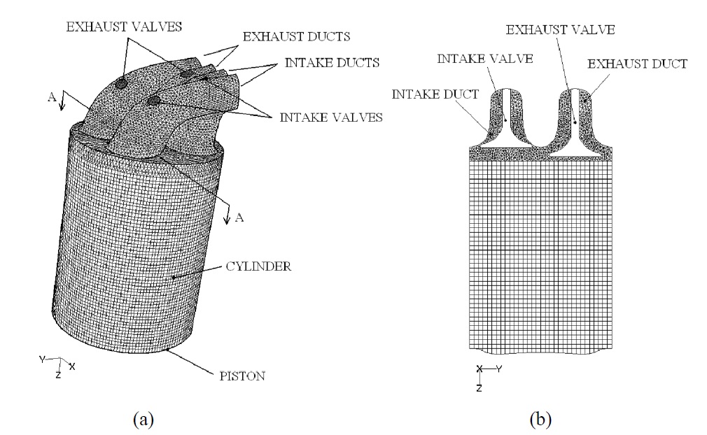 Computational mesh at BDC. (a) 3D view; (b) AA section.