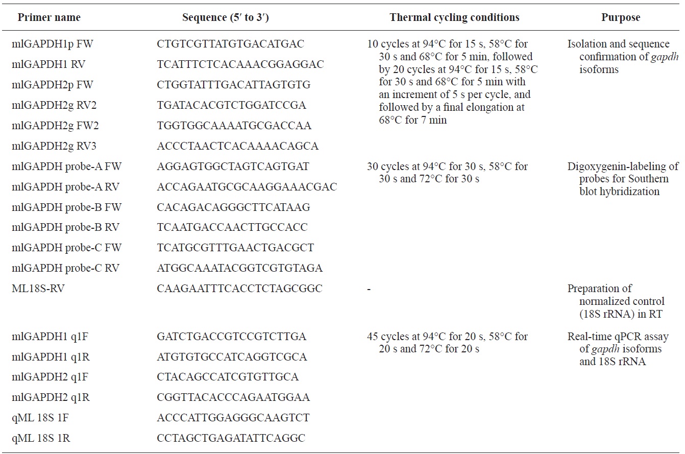 Oligonucleotide primers and thermal cycling conditions used in this study