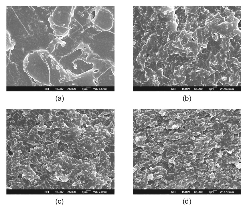 Scanning electron micrographs of the fracture surfaces of PLA/Clay-20 nanocomposites, (a) 0% (b) 1% (c) 3% (d) 5% of Clay-20 content (X5000).