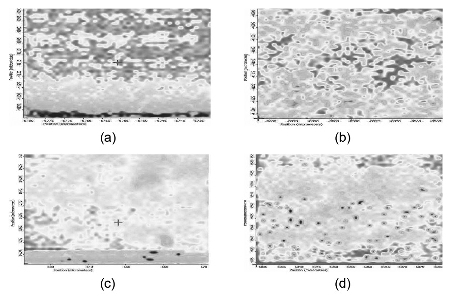 Raman microscope micrographs of the fracture surfaces of PLA/Clay-20 nanocomposites, (a) 0% (b) 1% (c) 3% (d) 5% of Clay-20 content (X5000).
