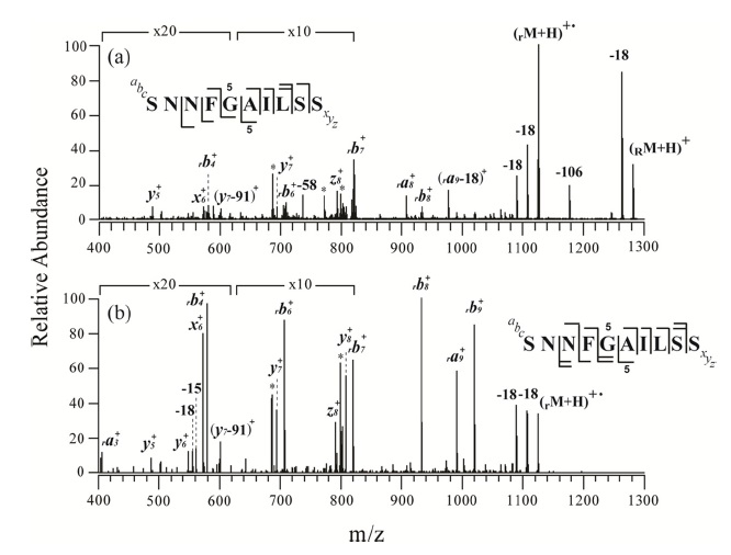 (a) MS/MS and (b) MS3 mass spectra of o-TEMPO-Bz-C(O)-SNNFGAILSS singly protonated peptide. The subscript “R” at the left-side of M, e.g., (RM + H)+, denotes that o-TEMPO-Bz-C(O)-is conjugated to the N-terminus of the peptides. *: peak not assigned.