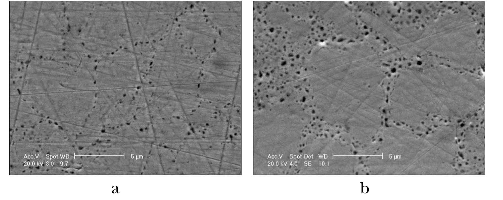 U-Mo Alloy Microstructure. Porosity Distribution in the Alloy: a ？ Fuel rod from the FA with an Average Burnup of ~40
%, b ？ Fuel Rod from the FA with an Average Burnup of ~50 %