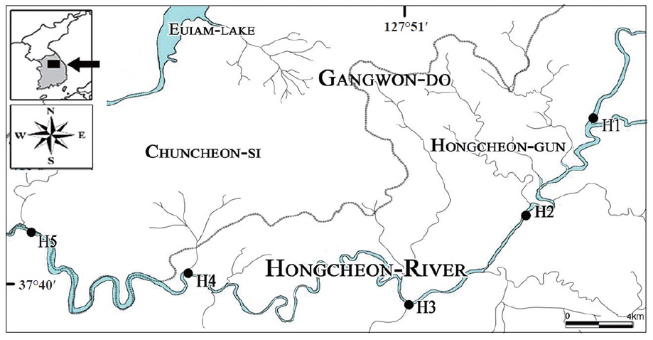 Sampling sites on Hongcheon River at Gangwon-do from December 2011 to September 2012. H1, Cheoljeong-kyo; H2, Gurun-kyo; H3, Dunji-kyo;
H4, Palbong-kyo; H5, Chungui-bridge.