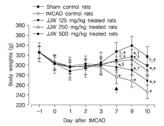 Body weight changes in tMCAO rats.Significant decreases of body weight were detected from 7 days after surgery in tMCAO control rats as compared with sham control rats (arrow). However, significant and dosage-dependent increases of body weights were observed from 7 days after tMCAO of JJW 125, 250 and 500 mg/kg treated rats as compared with tMCAO control rats (arrow), respectively.