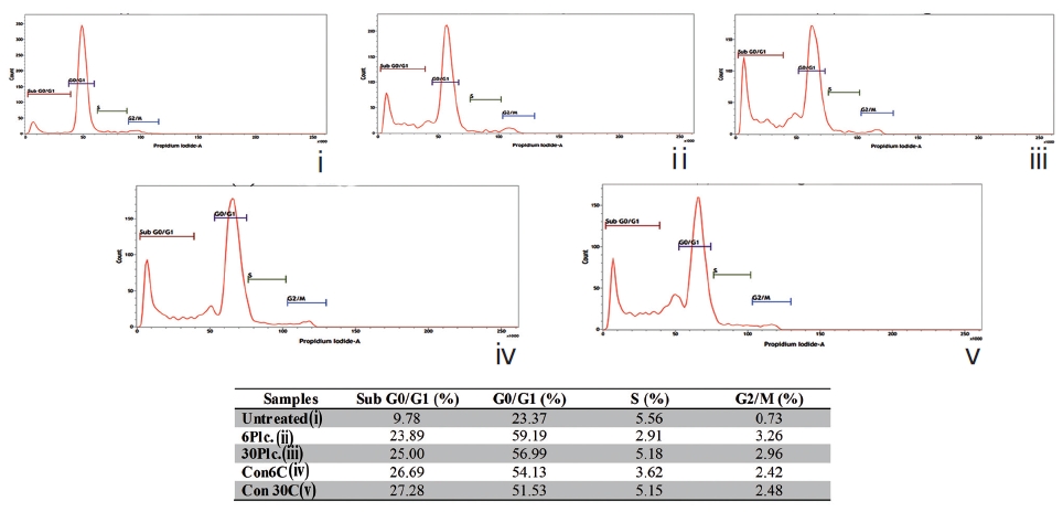 Study on cell-cycle distribution by using PI-staining and flowcytometric analysis. (i) untreated, (ii) 6C placebo-treated, (iii) 30C placebo-
treated, (iv) Condurango 6C-treated, and (v) Condurango 30C-treated cells. Percent of cells in each phase is presented in the table.
