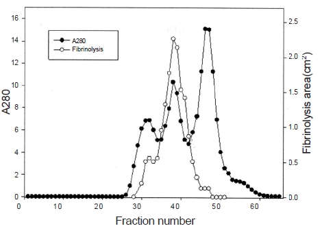 Gel filtration chromatography of the combined sample
from the Q-Sepharose column (Fig. 1) on a Sephadex G-75 column.
The pooled sample of fractions 39-44 was subjected to subsequent
chromatography (Fig 3) and to SDS-PAGE (Fig. 4, lane D).