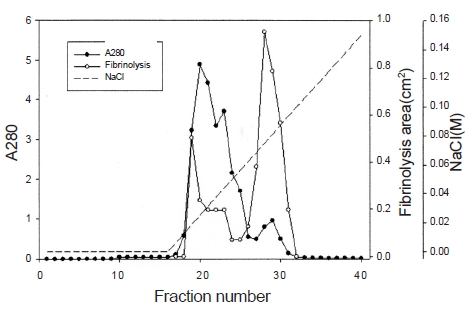 Ion exchange chromatography of the venom sample obtained
from the Sephadex G-75 column (Fig. 2) on a DEAE Sepharose
column. The combined sample of fractions 28-30 was used for SDSPAGE
(Fig. 4, lane E).