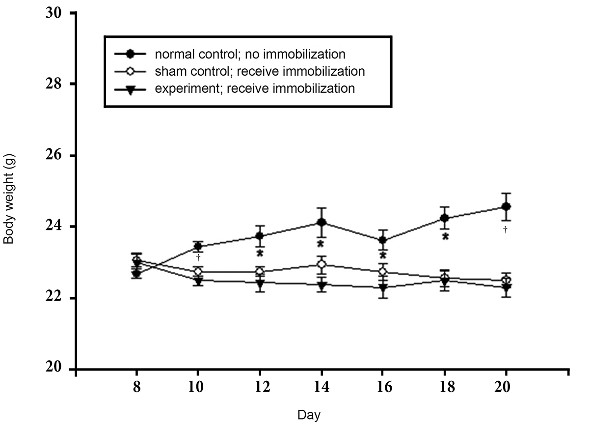 Body weight change during chronic immobilization stress (CIS) treatment. The normal control group was not exposed to stress, whereas
the sham control and the experimental groups underwent restraint stress. The body weights of the CIS-treated groups were decreased significantly
by restraint stress. *P < 0.05 vs. sham control group; †P < 0.01 vs. sham control group.