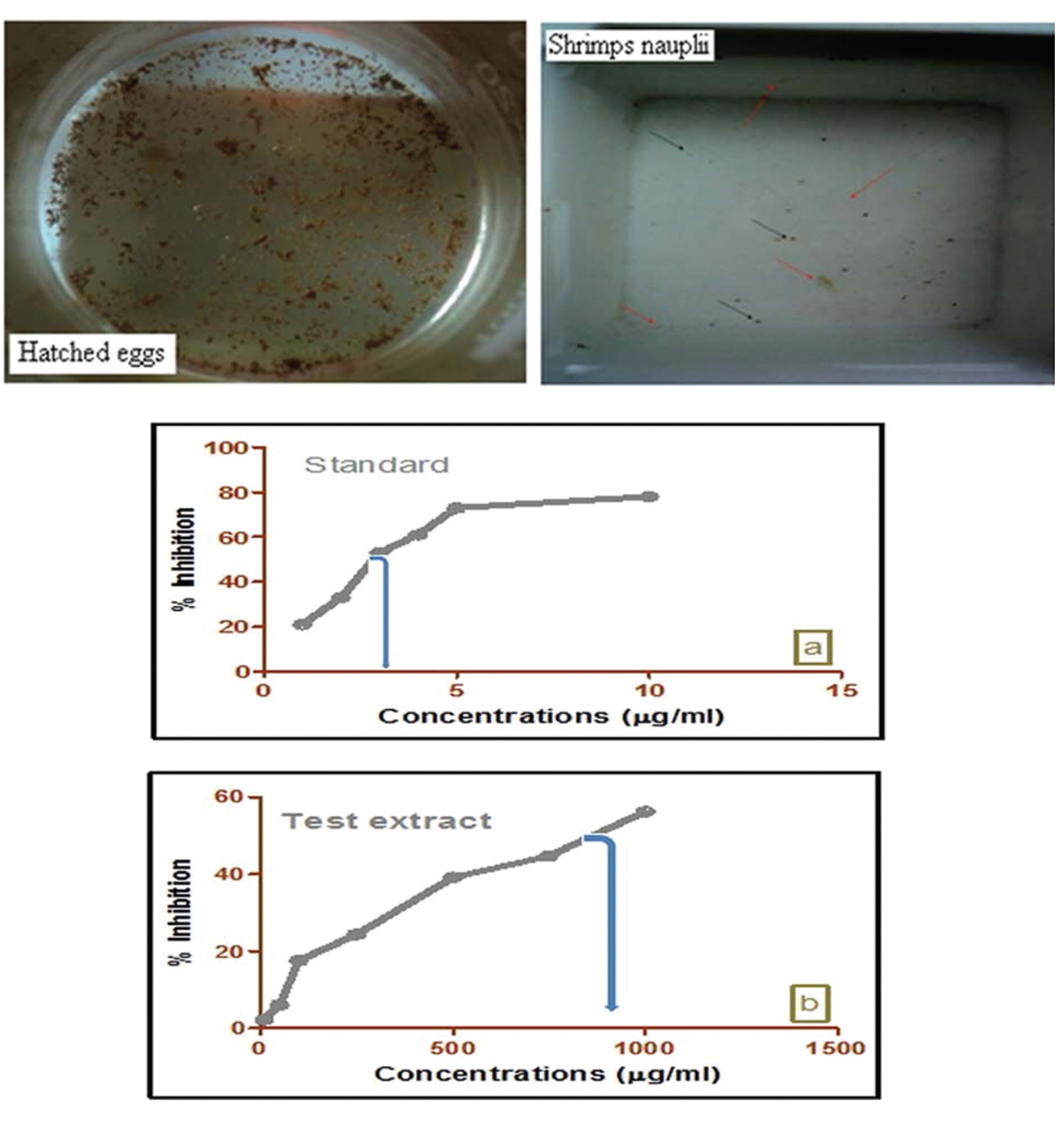 In vitro cytotoxicity evaluation of test extract of W. volubilis administered to brine shrimp nauplus. Potassium dichromate was used as a reference standard. Percentage inhibitions of test samples are dose dependent. Each value is expressed as a mean ± standard deviation (n = 3).