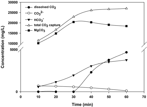 The concentration of carbon containing ions in Mg(OH)2 slurry after CO2 sequestration.