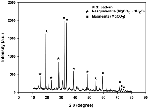 XRD pattern of product in Mg(OH)2 slurry after CO2 sequestration.