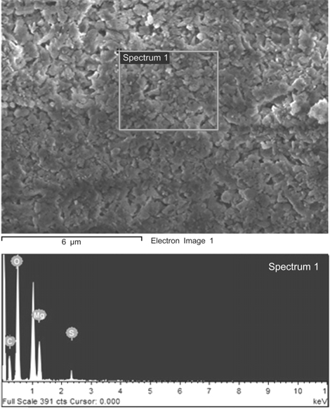 SEM image and the ED X-ray spectra of the product in Mg(OH)2 slurry after CO2 sequestration.