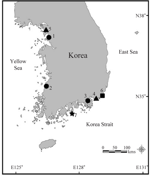 Distribution of genus Cleantioides from South Korea based on previous records and on the present study.C. japonica (●): 1, Incheon-si, Sorae; 2, Gochang-gun, Pyunggok; 3, Geojesi, Isl. Geojedo, Changho-ri. C. emarginata (▲): 4, Busan, Myungji-dong; 5, Ganghwa-gun, Choji-ri. C. poorei (■): 6, Busan, off Mipo. C. planicauda (★): 7, Yeosu-si, Isl. Geumodo, Hakdong.