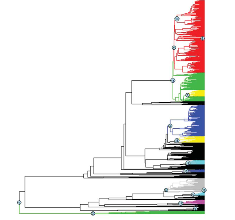 Sixteen shifting events of diversification rates identified in the internal nodes for the phylogeny of global amphibians using “MEDUSA” package.