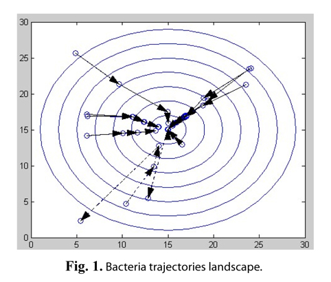 Bacteria trajectories landscape.