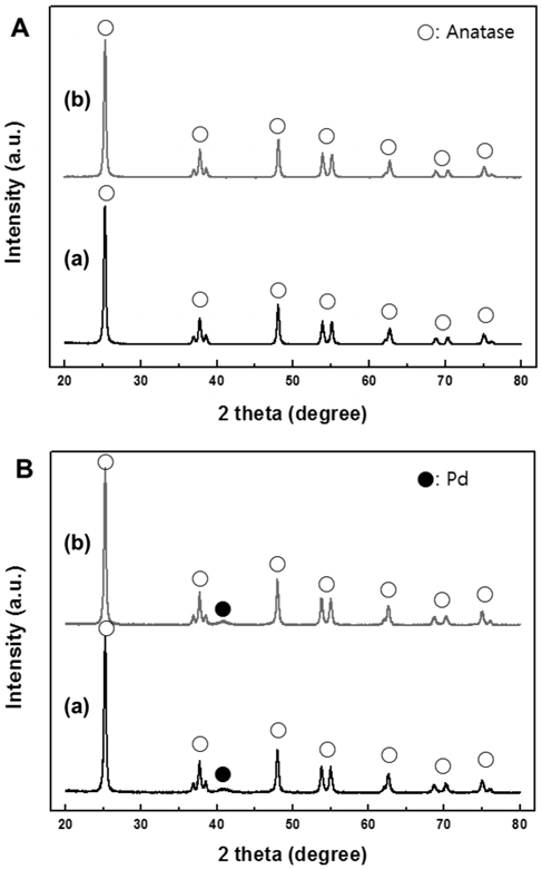 XRD patterns of the synthesized TiO2 (A): (a) NT1, (b) NT3; and prepared catalysts (B): (a) PCNT1, (b) PCNT3 (●: Metallic palladium phase, ○: anatase phase on TiO2 support).