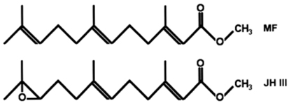 Chemical structures of methyl farnesoate (MF) and juvenile hormone III (JH III).