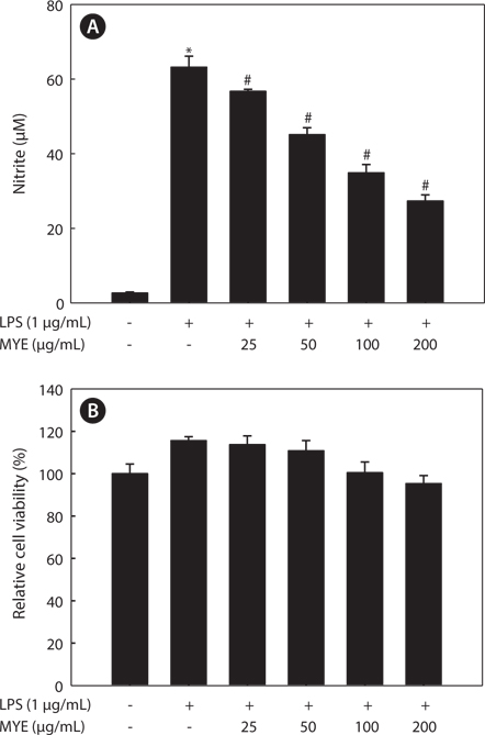 Effect of Myagropsis yendoi ethanolic extracts (MYE) on cell viability and on the inhibition of nitric oxide (NO) production in lipopolysaccharide (LPS)-stimulated BV-2 cells. Cells pretreated with various concentrations of MYE for 2 h were stimulated with LPS (1 μg/mL) for 24 h. The culture media of the treated cells were used to measure the amount of nitrite to evaluate NO level (A). Cell viability was analyzed by MTS assay (B). All data are presented as means ± SDs of three independent experiments. *P < 0.05 indicates significant differences from the control group. #P < 0.05 indicates significant differences from the control group.