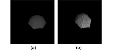 Computer-generated hologram generation and reconstruction with depth map by a depth camera: (a) depth map and (b) reconstructed image.