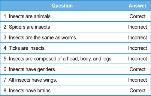 Questions for the concept of insects